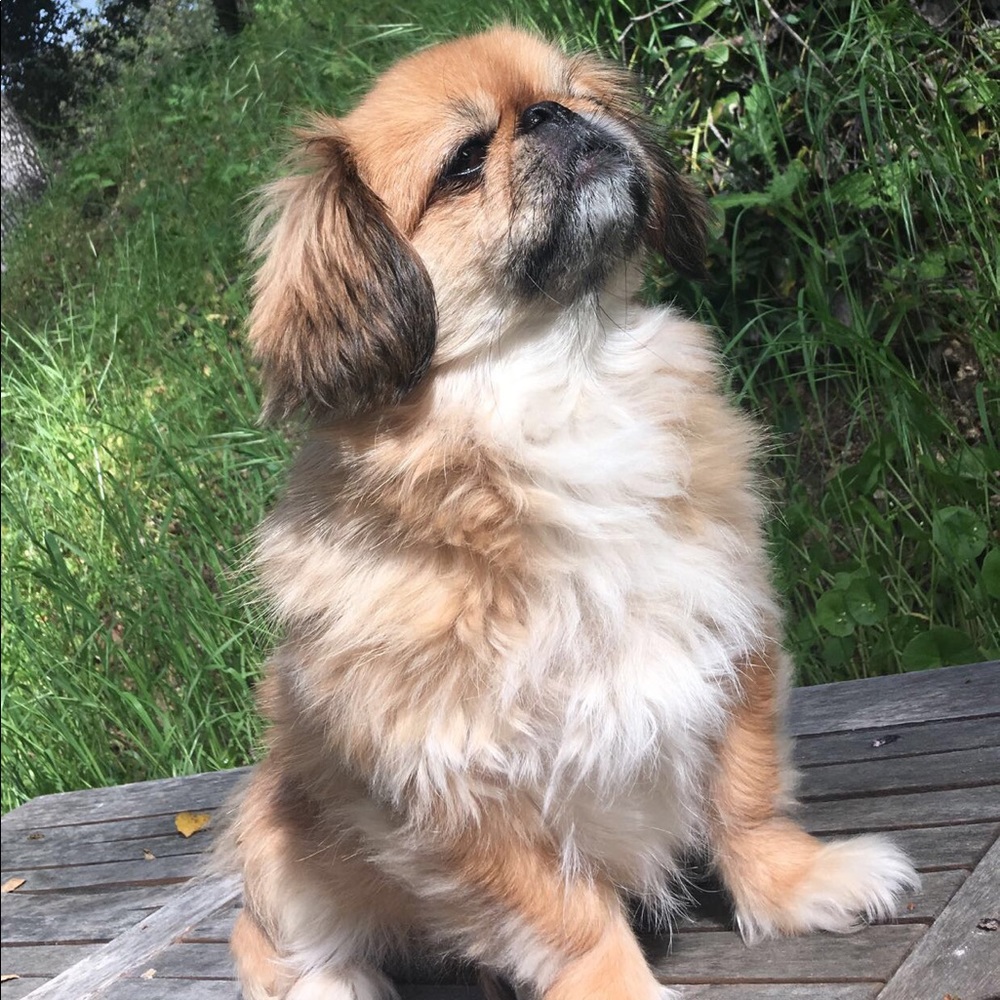 Meet your Posher, Madi